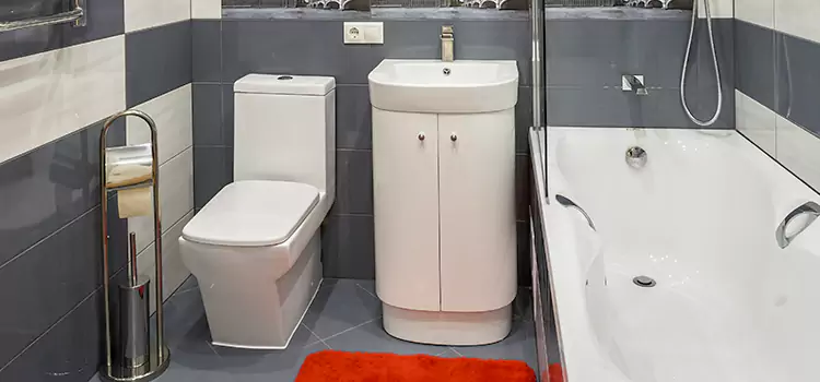 Hansgrohe Shaving Mirror North Highlands